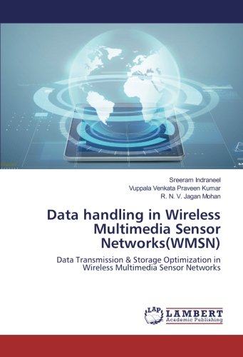 Data handling in Wireless Multimedia Sensor Networks(WMSN): Data Transmission & Storage Optimization in Wireless Multimedia Sensor Networks
