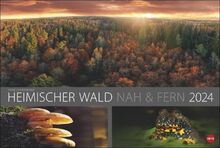 Wald nah und fern Edition Kalender 2024