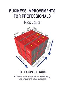 Business Improvements for Professionals: The Business Cube