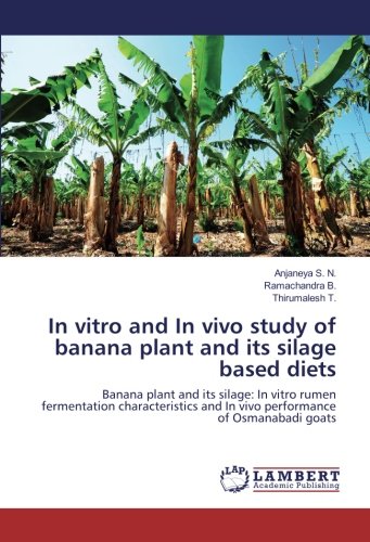 In vitro and In vivo study of banana plant and its silage based diets: Banana plant and its silage: In vitro rumen fermentation characteristics and In vivo performance of Osmanabadi goats
