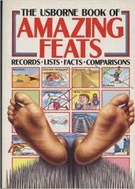 The Usborne Book of Amazing Feats (Usborne Facts & Lists)