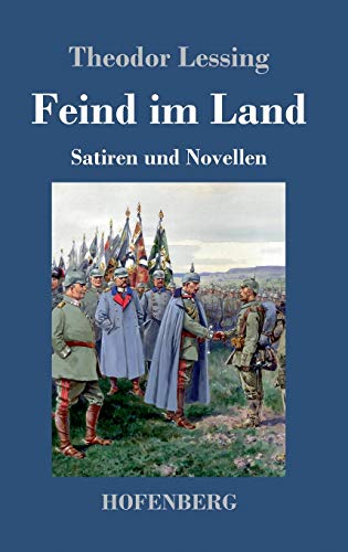 Feind im Land: Satiren und Novellen