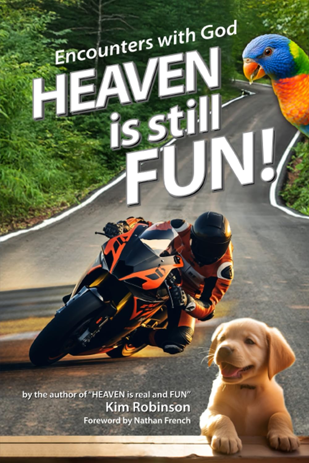 Heaven is still FUN: Encounters with God