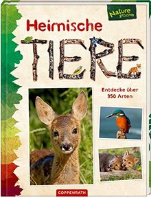 Heimische Tiere: Entdecke über 350 Arten