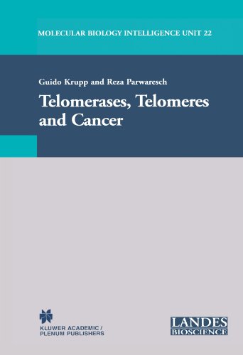 Telomerases, Telomeres and Cancer (Molecular Biology Intelligence Unit)