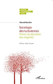 Sociologie des turbulences : penser les désordres des inégalités