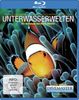 Unterwasserwelten - Die Bewohner des Roten Meeres [Blu-ray]