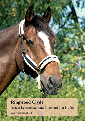 Ringwood Clyde: (m)ein Lehrmeister und Engel auf vier Hufen