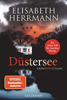 Düstersee: Kriminalroman (Joachim Vernau, Band 7)