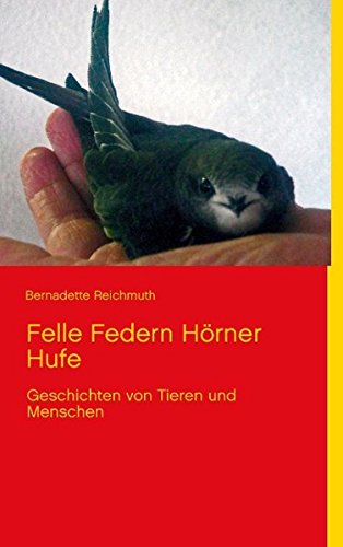 Felle Federn Hörner Hufe: Geschichten von Tieren und Menschen