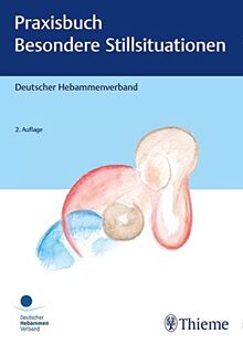 Praxisbuch: Besondere Stillsituationen (DHV-Expertinnenwissen)