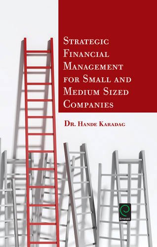 Strategic Financial Management for Small and Medium Sized Companies (0)