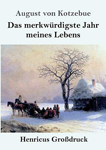 Das merkwürdigste Jahr meines Lebens (Großdruck)