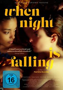 When Night Is Falling von Salzgeber (Alive) | DVD | Zustand gut