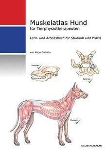 Muskelatlas Hund: Lern- und Arbeitsbuch für Tierphysiotherapeuten