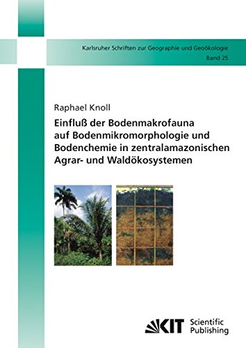 Einfluß der Bodenmakrofauna auf Bodenmikromorphologie und Bodenchemie in zentralamazonischen Agrar- und Waldökosystemen (Karlsruher Schriften zur Geographie und Geoökologie)