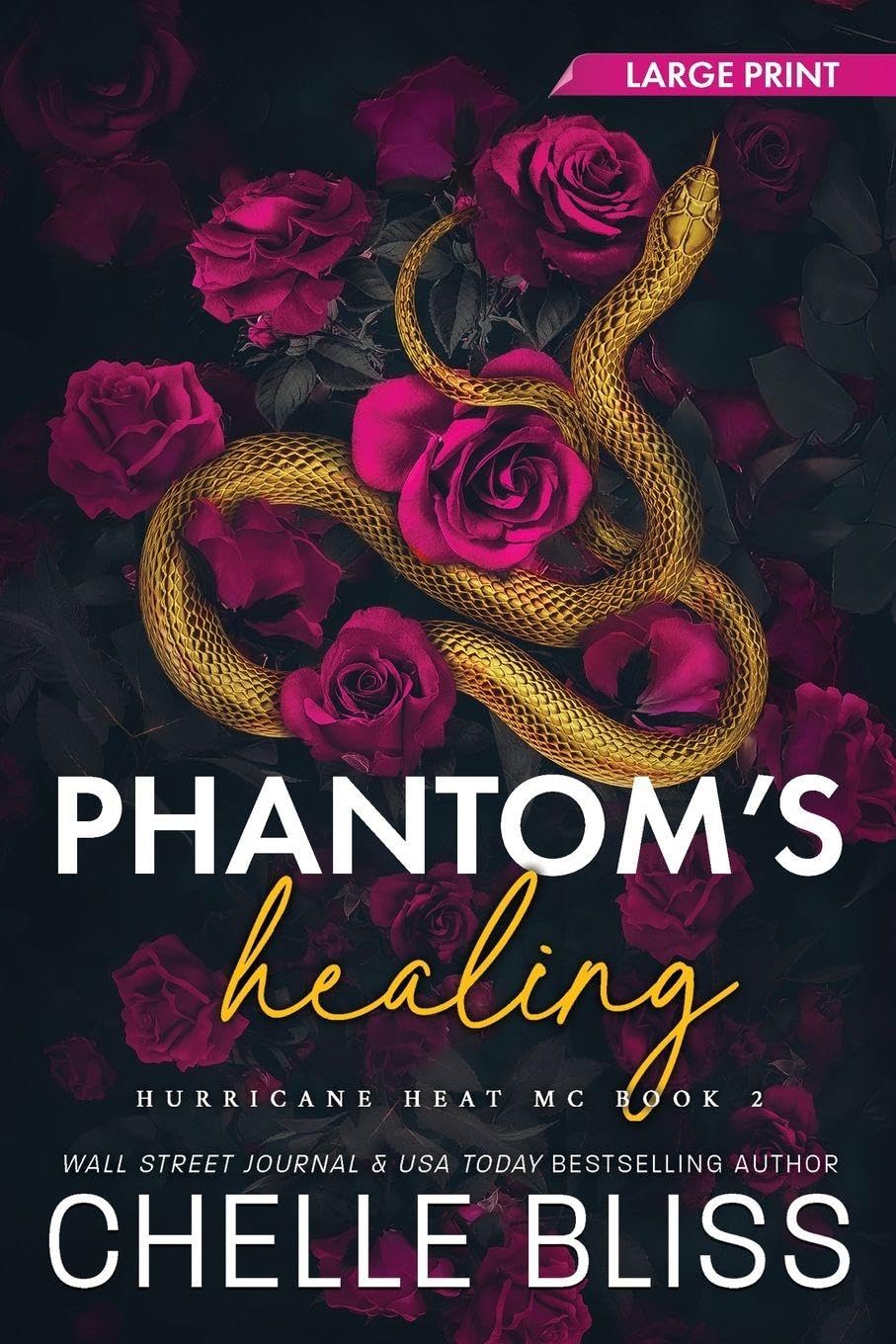 Phantom's Healing: Large Print (Hurricane Heat MC, Band 2)