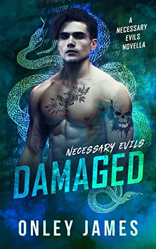 Onley James Damaged, A Necessary Evils Novella
