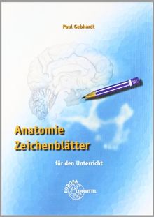 Anatomie Zeichenblätter: Für den Unterricht