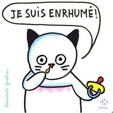 Popaul. Vol. 2003. Je suis enrhumé !
