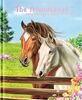 The Friendsbook - Horses