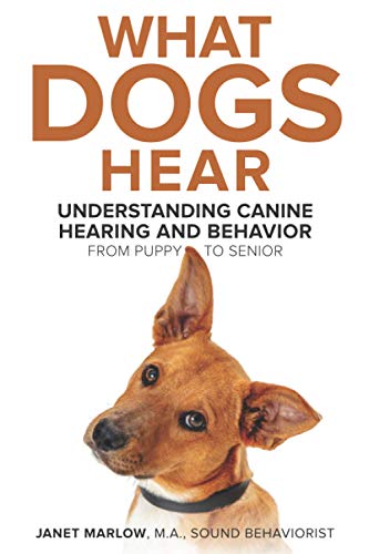 What Dogs Hear: Understanding Canine Hearing and Behavior From Puppy to Senior