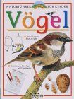 Vögel