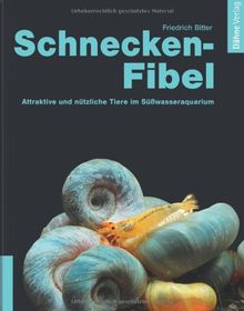 Schnecken-Fibel: Attraktiv und nützlich im Süßwasseraquarium