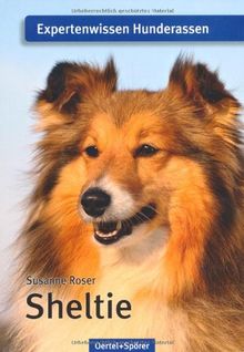 Sheltie: Expertenwissen Hunderassen