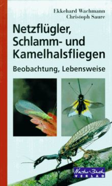 Netzflügler, Schlamm- und Kamelhalsfliegen. Beobachtung, Lebensweise