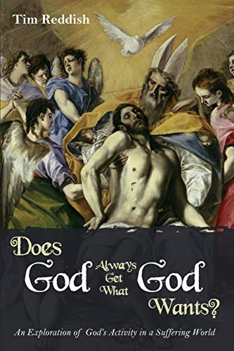 Does God Always Get What God Wants?: An Exploration of God's Activity in a Suffering World
