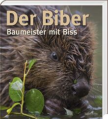 Der Biber: Baumeister mit Biss