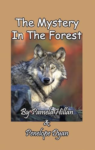 The Mystery In The Forest