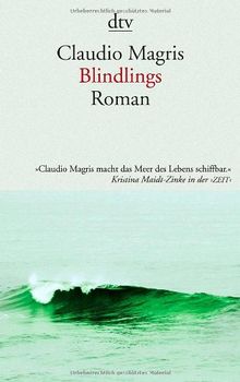 Blindlings: Roman