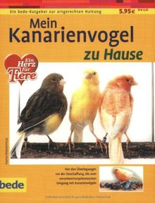 Kanarienvogel, zu Hause: Ein bede-Ratgeber zur artgerechten Haltung