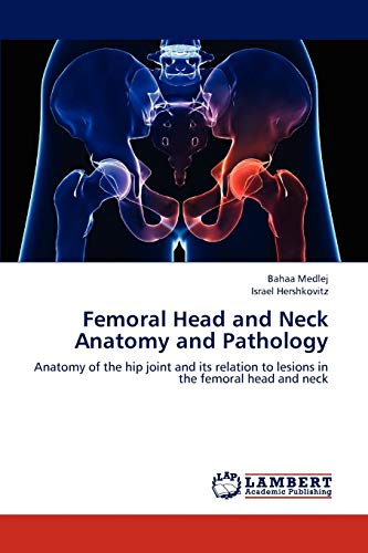 Femoral Head and Neck Anatomy and Pathology: Anatomy of the hip joint and its relation to lesions in the femoral head and neck