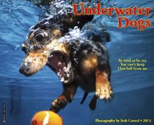 Underwater Dogs 2013