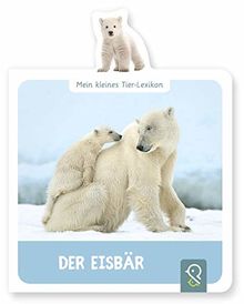 Der Eisbär: Mein kleines Tier-Lexikon