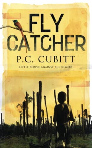 Fly Catcher: Little People Against Big Powers