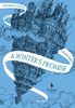 A Winter's Promise: Volume 1 of The Mirror Visitor Quartet