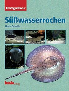 Süsswasserrochen, Ratgeber