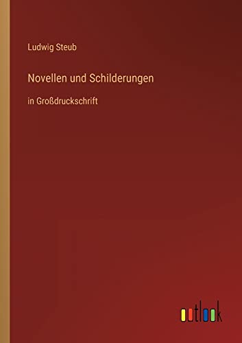 Novellen und Schilderungen: in Großdruckschrift