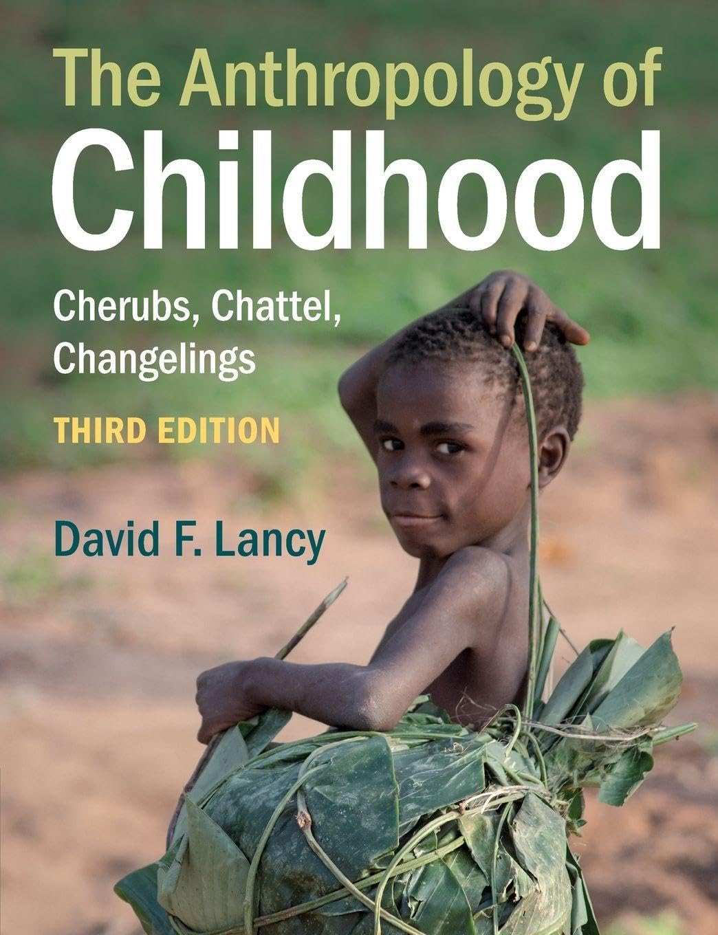 Lancy, David F. The Anthropology Of Childhood, Cherubs, Chattel, Changelings