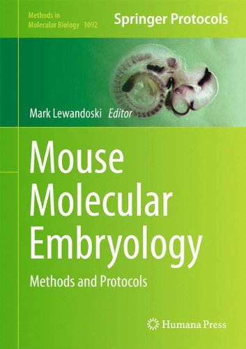 Mouse Molecular Embryology: Methods and Protocols (Methods in Molecular Biology)