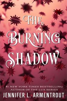 The Burning Shadow (Origin)