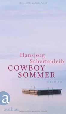 Cowboysommer: Roman