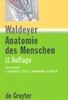 Anton Waldeyer; Anton Mayet: Anatomie des Menschen: Allgemeine Anatomie, Rücken, Bauch, Becken, Bein