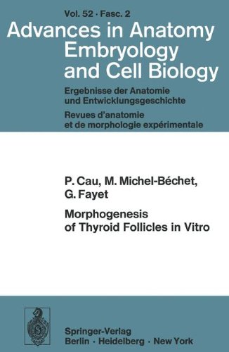 Morphogenesis of Thyroid Follicles in Vitro (Advances in Anatomy, Embryology and Cell Biology)