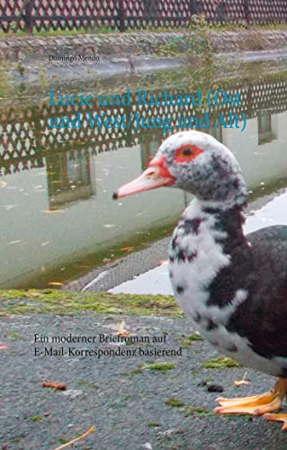 Lucie und Richard (Ost und West/Jung und Alt): Ein moderner Briefroman auf E-Mail-Korrespondenz basierend