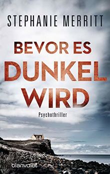 Bevor es dunkel wird: Psychothriller